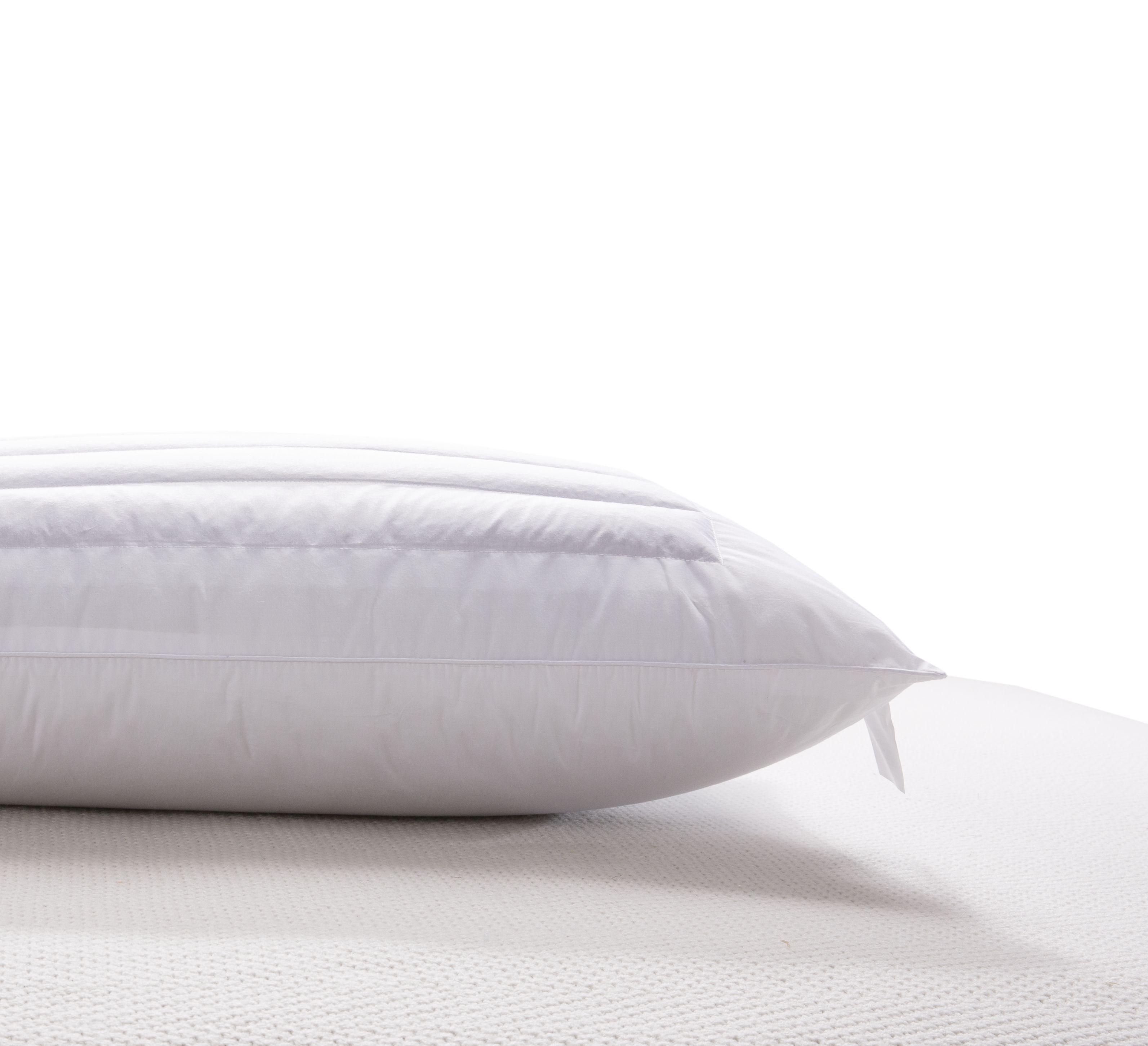 REAL TEXTILENatural Buckwheat Hotel BedroomPillow 100% Cotton Fabric With Buckwheat & Polyfiber Filling